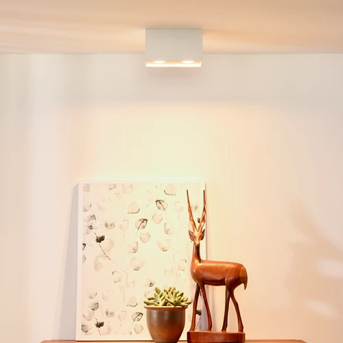 Lucide BODI - Spot plafond - 2xGU10 - Blanc - ambiance 1